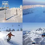 Brodnik Apartment Trbonje