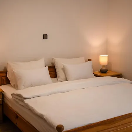 Apartment Brodnik Trbonje